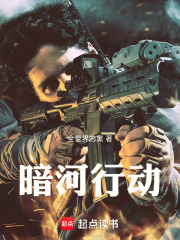 暗河行动在线阅读