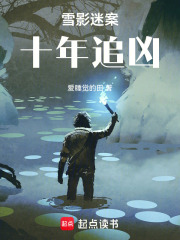 雪影迷案十年追凶在线阅读