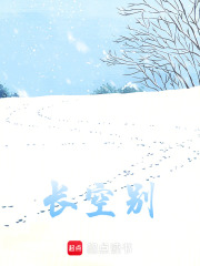 长空别在线阅读