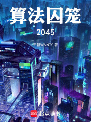 算法囚笼：2045在线阅读