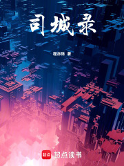 司城录在线阅读
