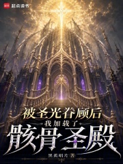 被圣光眷顾后我加载了骸骨圣殿
