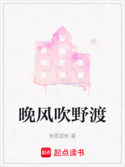 晚风吹野渡在线阅读
