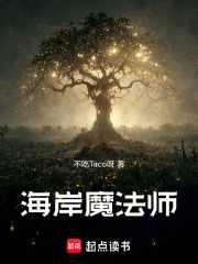 海岸魔法师在线阅读