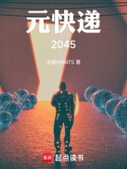 元快递：2045在线阅读