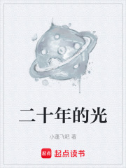 二十年的光在线阅读