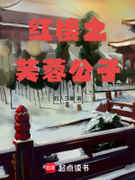 红楼之芙蓉公子封面