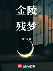 金陵残梦在线阅读