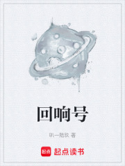 回响号在线阅读