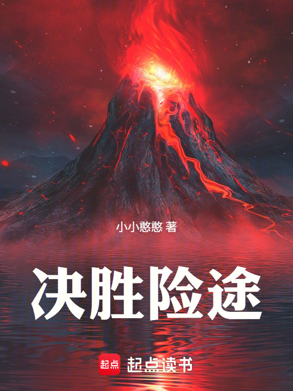 决胜险途在线阅读