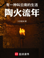 有一种叫云南的生活：陶火流年在线阅读