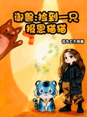 御兽：捡到一只报恩猫猫在线阅读