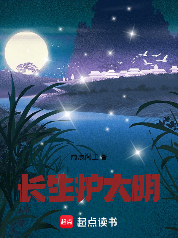 长生护大明在线阅读