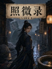 照微录在线阅读