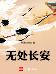 无处长安在线阅读