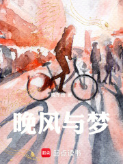 晚风与梦在线阅读