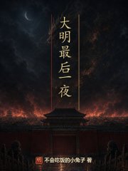 大明最后一夜在线阅读