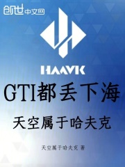 GTI都丢下海，天空属于哈夫克在线阅读