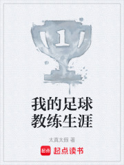 我的足球教练生涯在线阅读