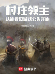 村庄领主，从能看见游戏公告开始在线阅读