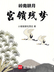 岭南耕月宫锁残梦在线阅读