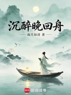 沉醉晚回舟封面