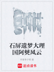 石屏遗梦大理国阿僰风云在线阅读