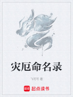 灾厄命名录封面