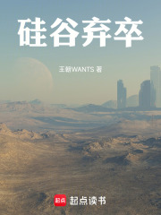 硅谷弃卒在线阅读