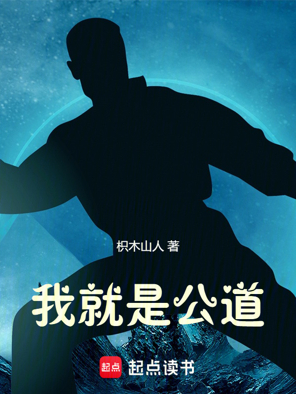 我就是公道在线阅读