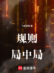 规则局中局在线阅读
