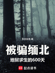被骗缅北：地狱求生的600天