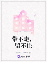 带不走，留不住在线阅读