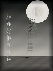 相逢好似初相识在线阅读