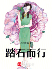 踏石而行在线阅读