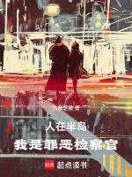 人在半岛：我是罪恶检察官封面