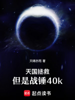天国拯救，但是战锤40k封面