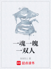 一魂一魄一双人在线阅读