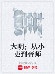 大明：从小吏到帝师在线阅读