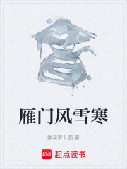 雁门风雪寒在线阅读
