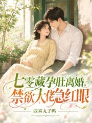 七零藏孕肚离婚，禁欲大佬急红眼在线阅读