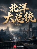 北洋大总统封面