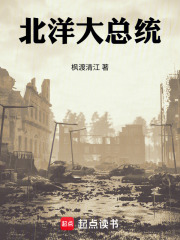 北洋大总统在线阅读