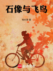 石像与飞鸟在线阅读