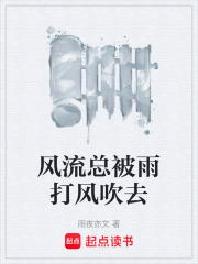 风流总被雨打风吹去在线阅读