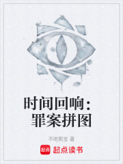 时间回响：罪案拼图在线阅读