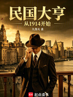 民国大亨：从1914开始在线阅读