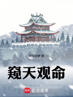 窥天观命封面