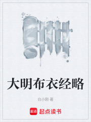 大明布衣经略在线阅读