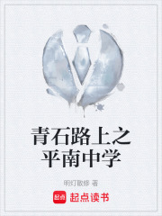青石路上之平南中学在线阅读